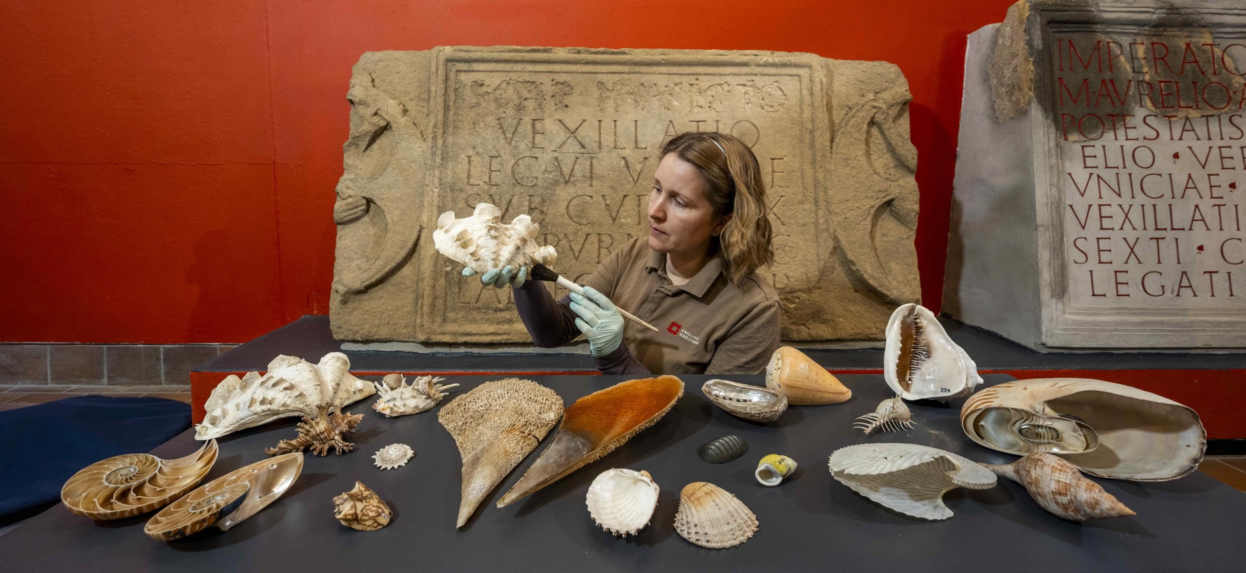 A photograph of a woman sitting at a black table laid out with shells, dusting one, with a red and brown background