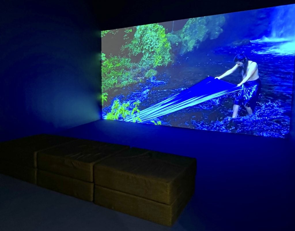 A video playing in a room, featuring a still of a figure pulling a piece of blue fabric through the jungle