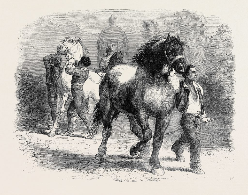 a sketch for Rosa Bonheur's painting "The Horse Fair'