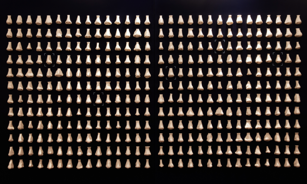A photograph of 360 replica noses aligned in a grid on a black wall