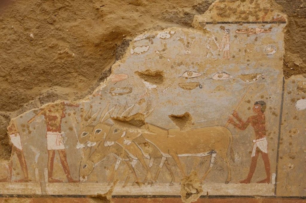 Egyptian painting of people with oxen