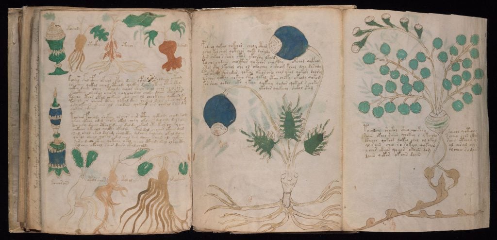 Page from the 15th Century Voynich Manuscript.