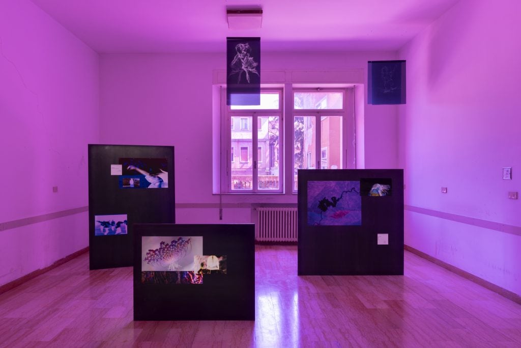 A room doused in purple light, filled with three screens of different sizes showing nature images