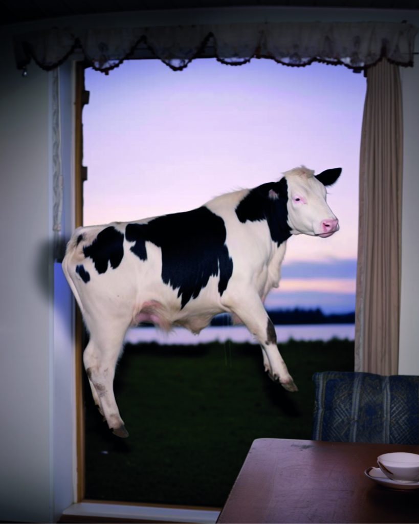 A spotted cow statue hovers in front of an open window through which a sunset view is visable.