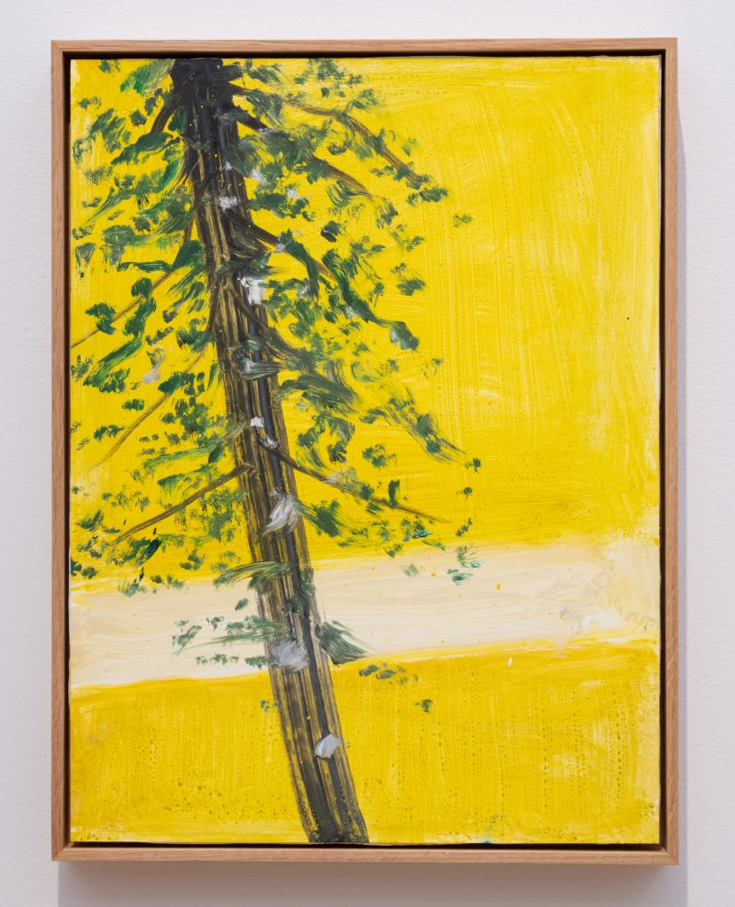 an image of a tall tree with green leaves set against a yellow background