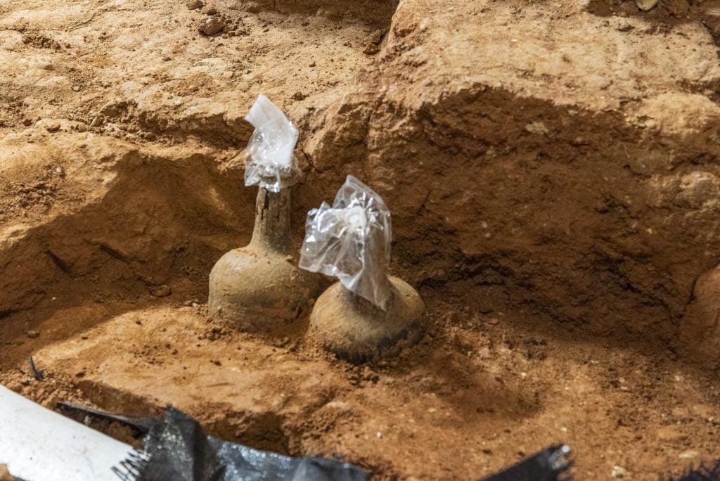 Two bottles emerging from the earth.