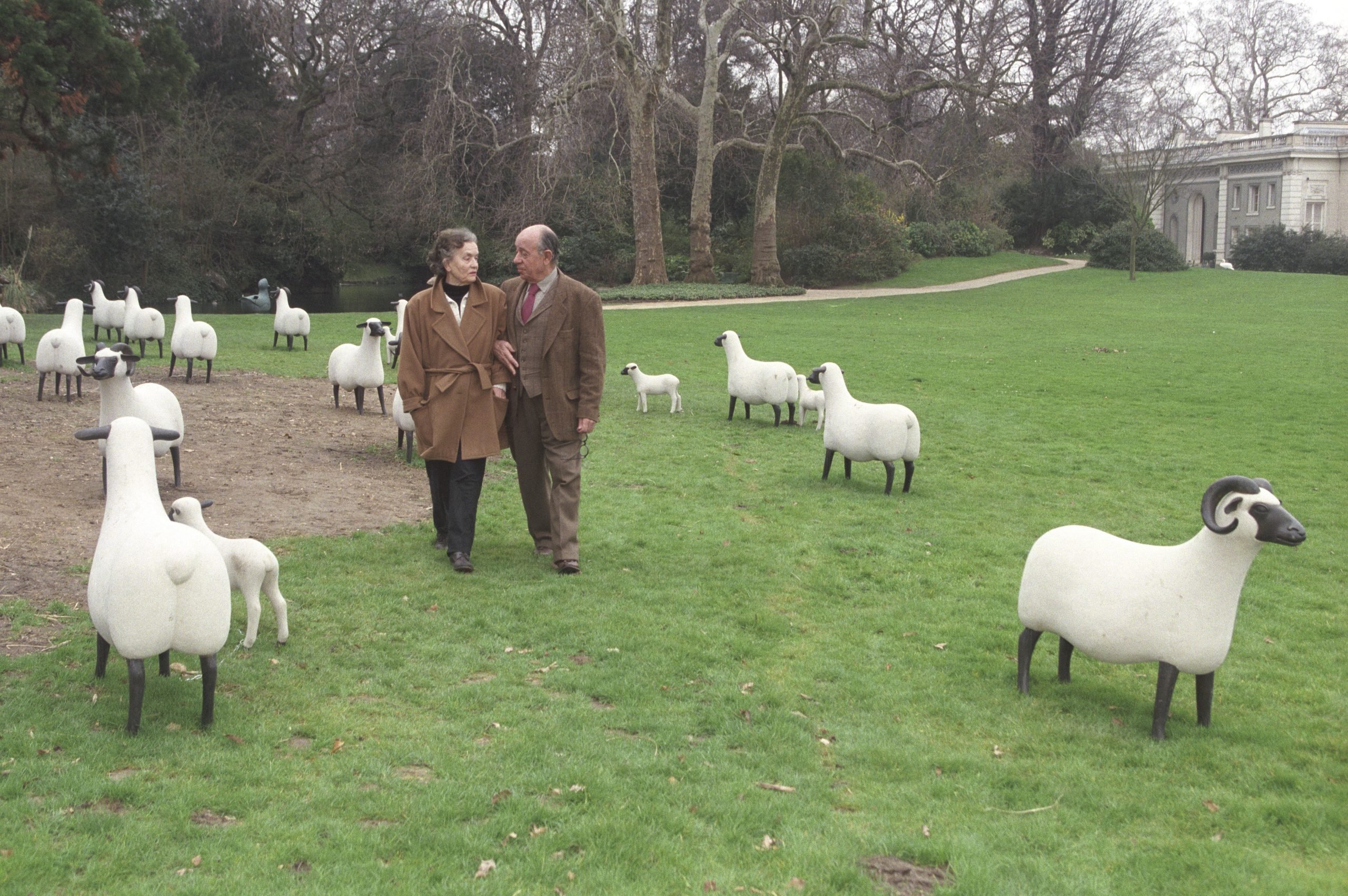 An older married couple walks through a green lawn filled with realistic sheep sculptures