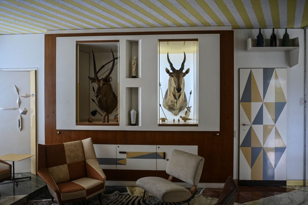 geometric shapes and two taxidermies animal heads dominate the modern interior of this room 