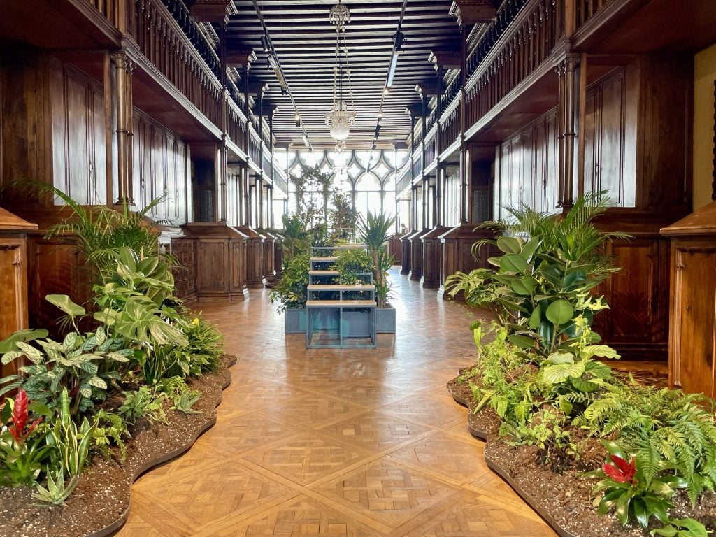 a large oak panelled room is filled with green plants