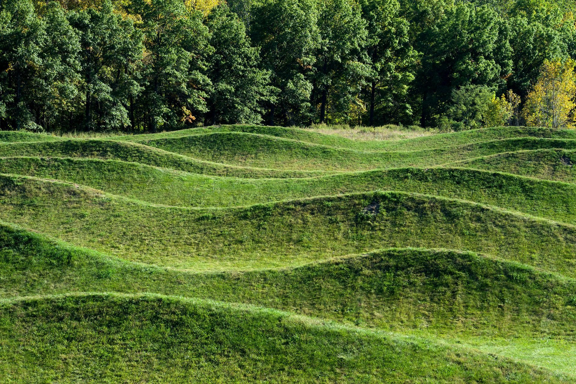 How Storm King Art Center Became One of the World’s Top Sculpture Parks