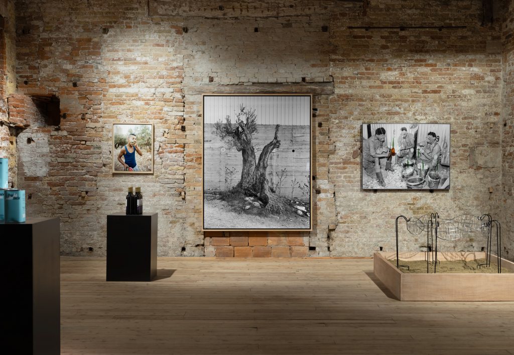 an installation of artworks including two black and white photographs on a very old exposed brick stone wall