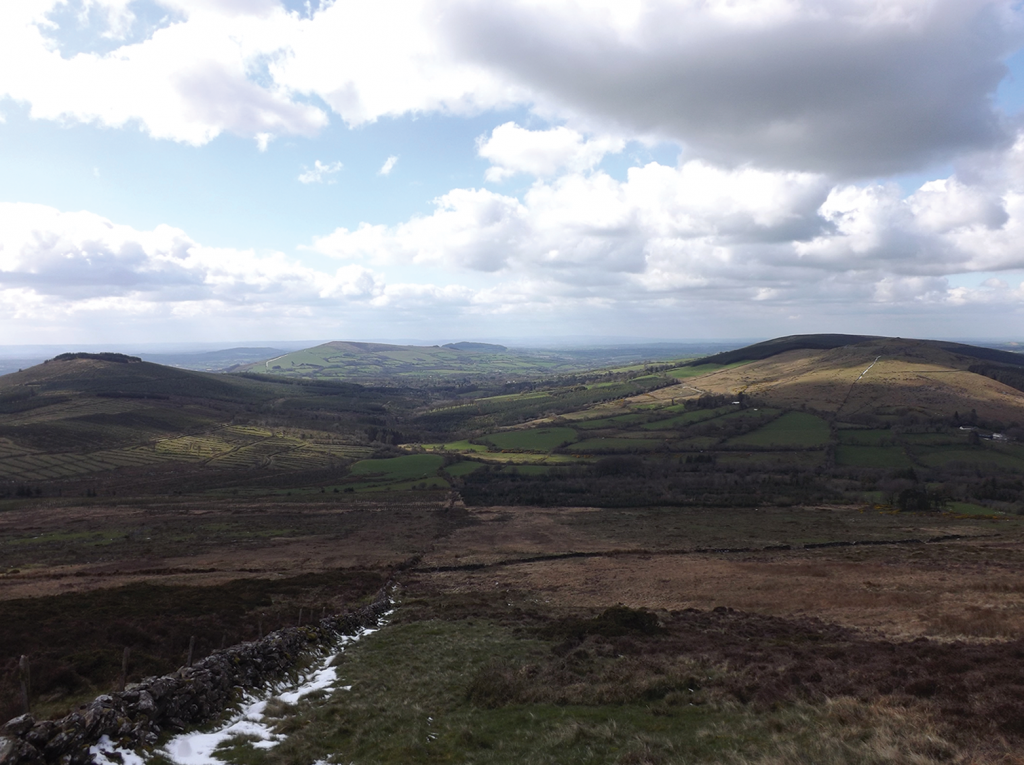 A lush green landscape in Ireland