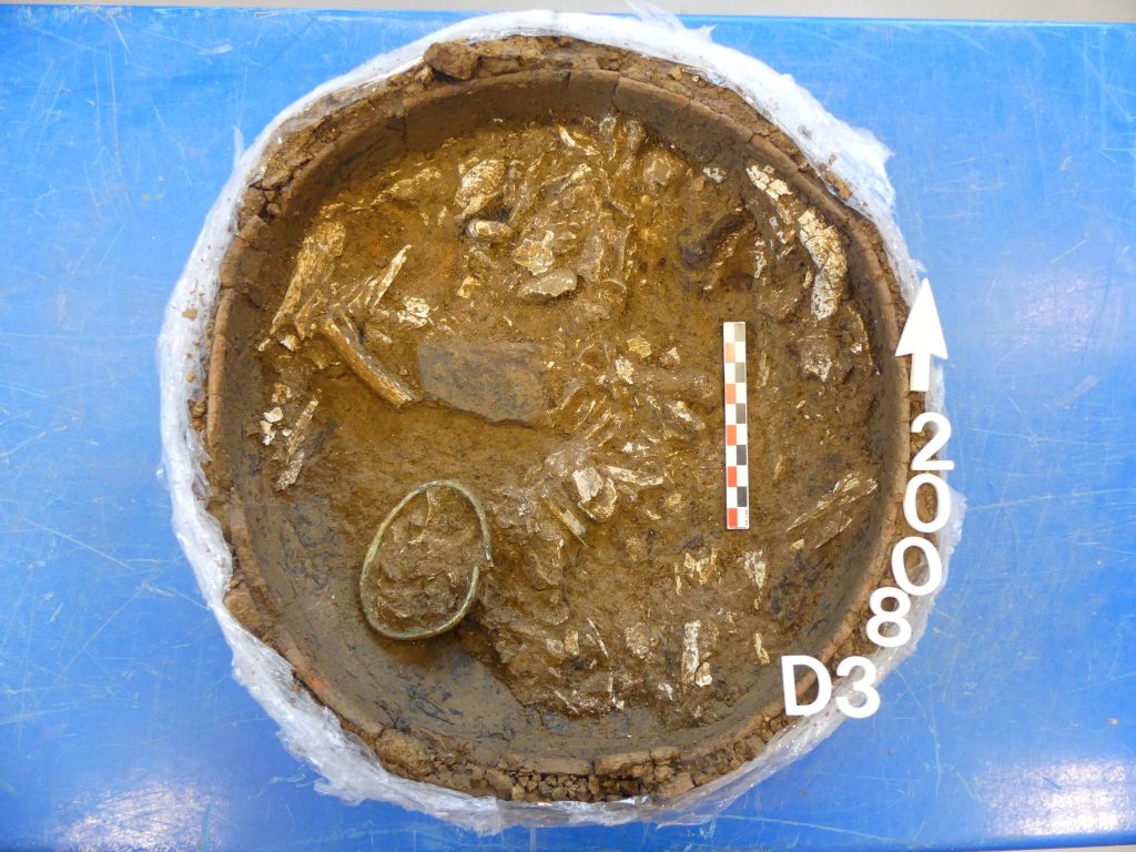 A photograph of the brown-tinged contents of the inside of an ancient urn amongst a blue background