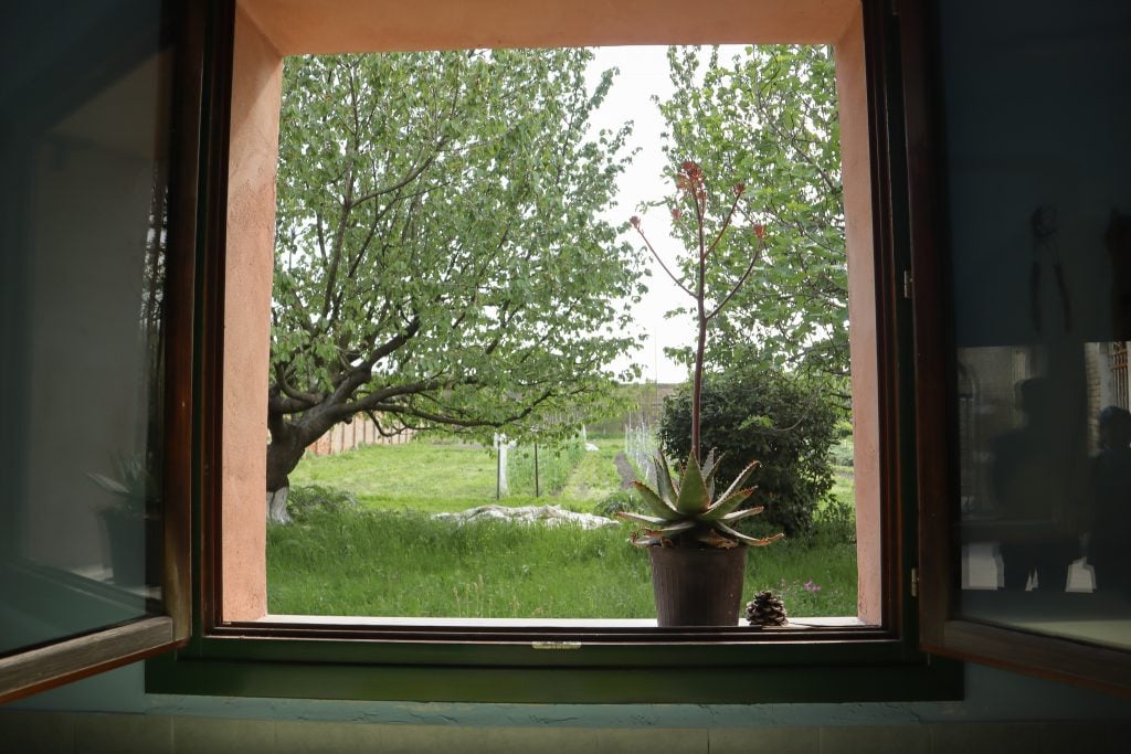 An open window looking out onto a garden.