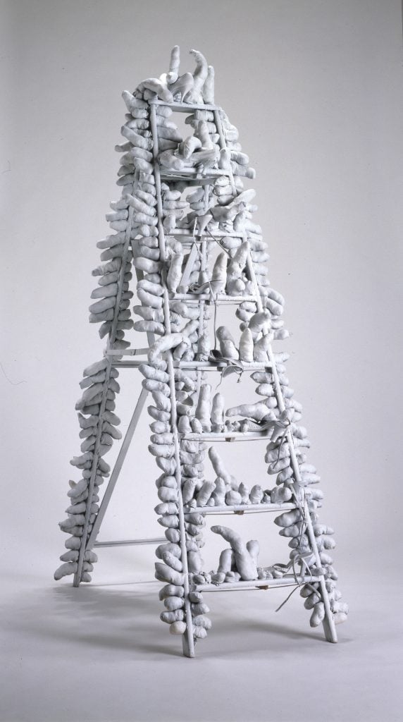 A photograph of a sclpture where oblong abstract shapes spawn from a straightforward ladder