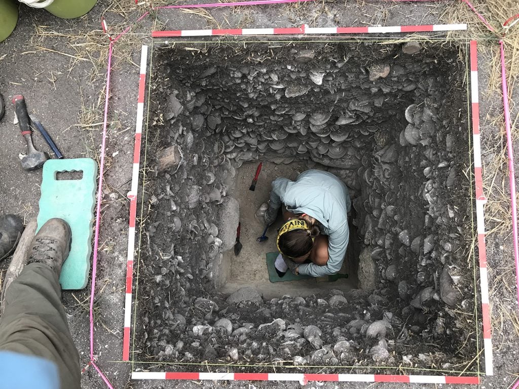 A photograph of a scientist examining the bottom of a six-foot pit with visible shells and other sediment buried in the surrounding ground