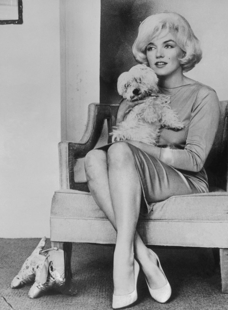 Actor Marilyn Monroe seated on a couch holding a fluffy dog.
