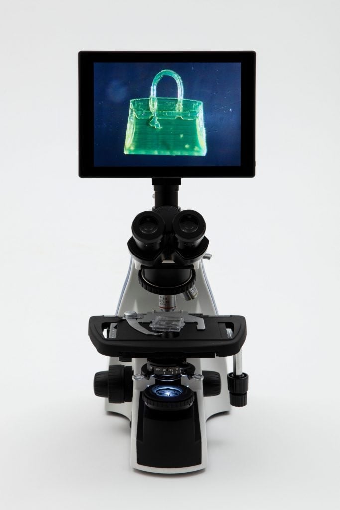 A microscope's viewing screen reveals a microscopic handbag