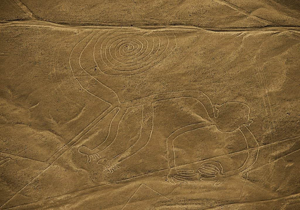 A drawing of a monkey carved into yellow sand
