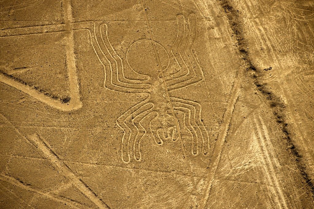 A large drawing of a spider drawn in yellow desert sand