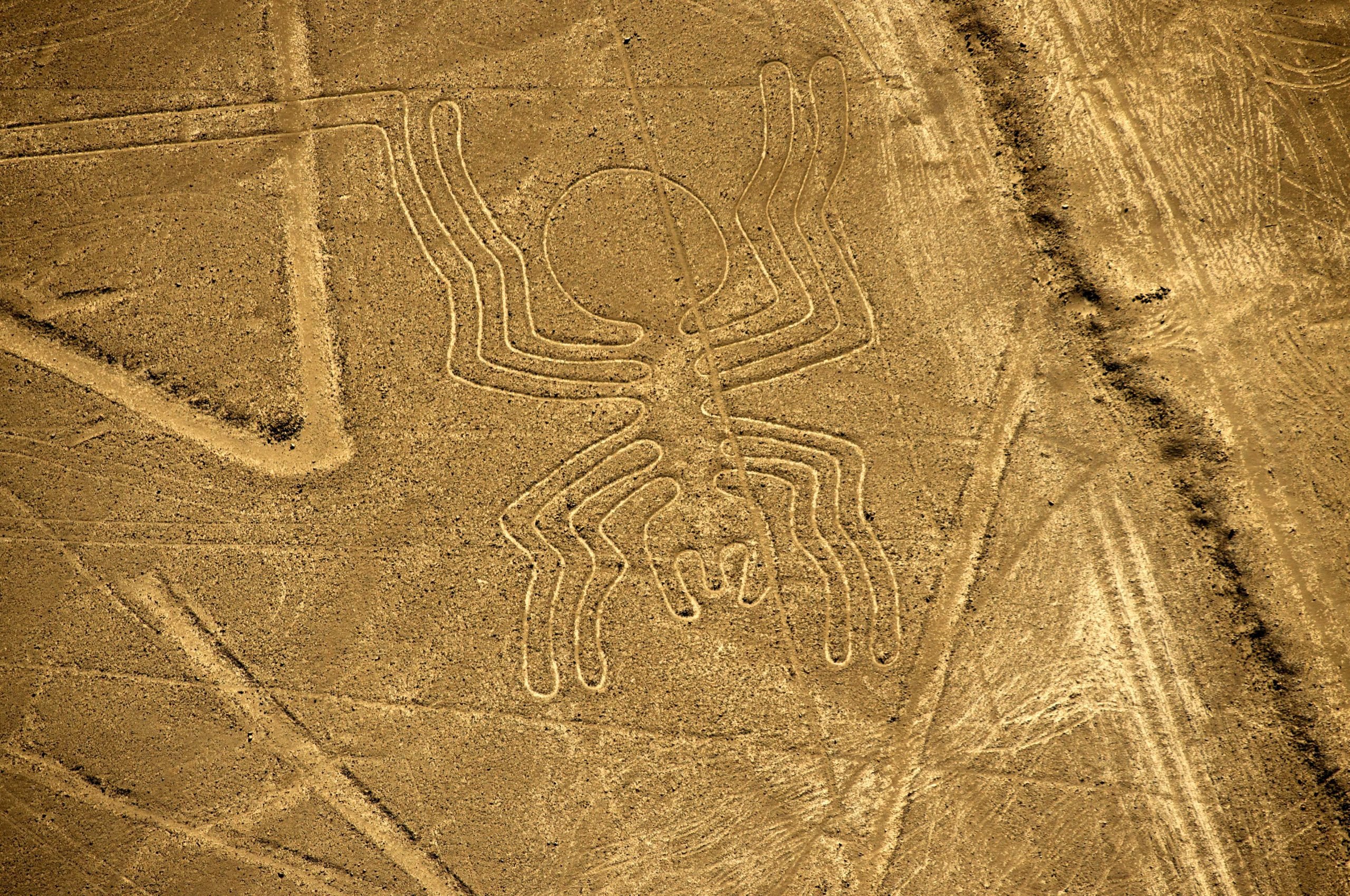 A large drawing of a spider drawn in yellow desert sand