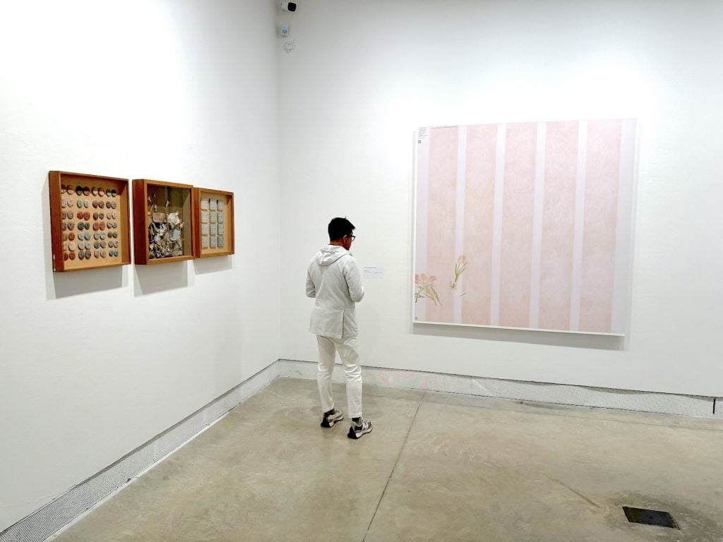 A man looks at art in a gallery where there are clay objects suspended in three wood boxes and an abstract painting that also features an image of tulips in the corner