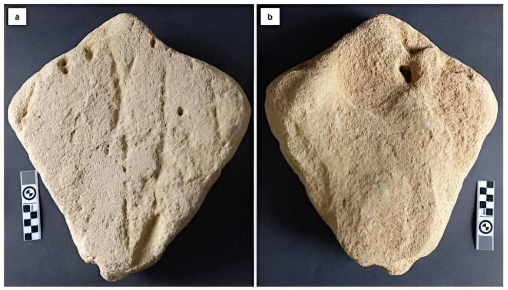 Two pictures showing the top and bottom of a stingray-shaped rock carved with lines.
