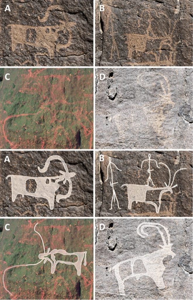 A collage of eight photographs each showing rock art depictions of animals.