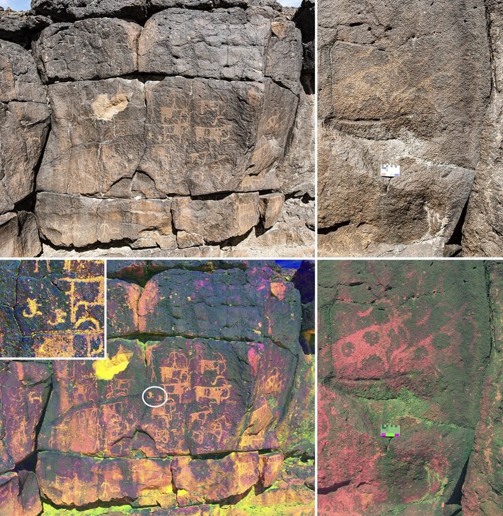 A collage of four photographs showing ancient rock art.