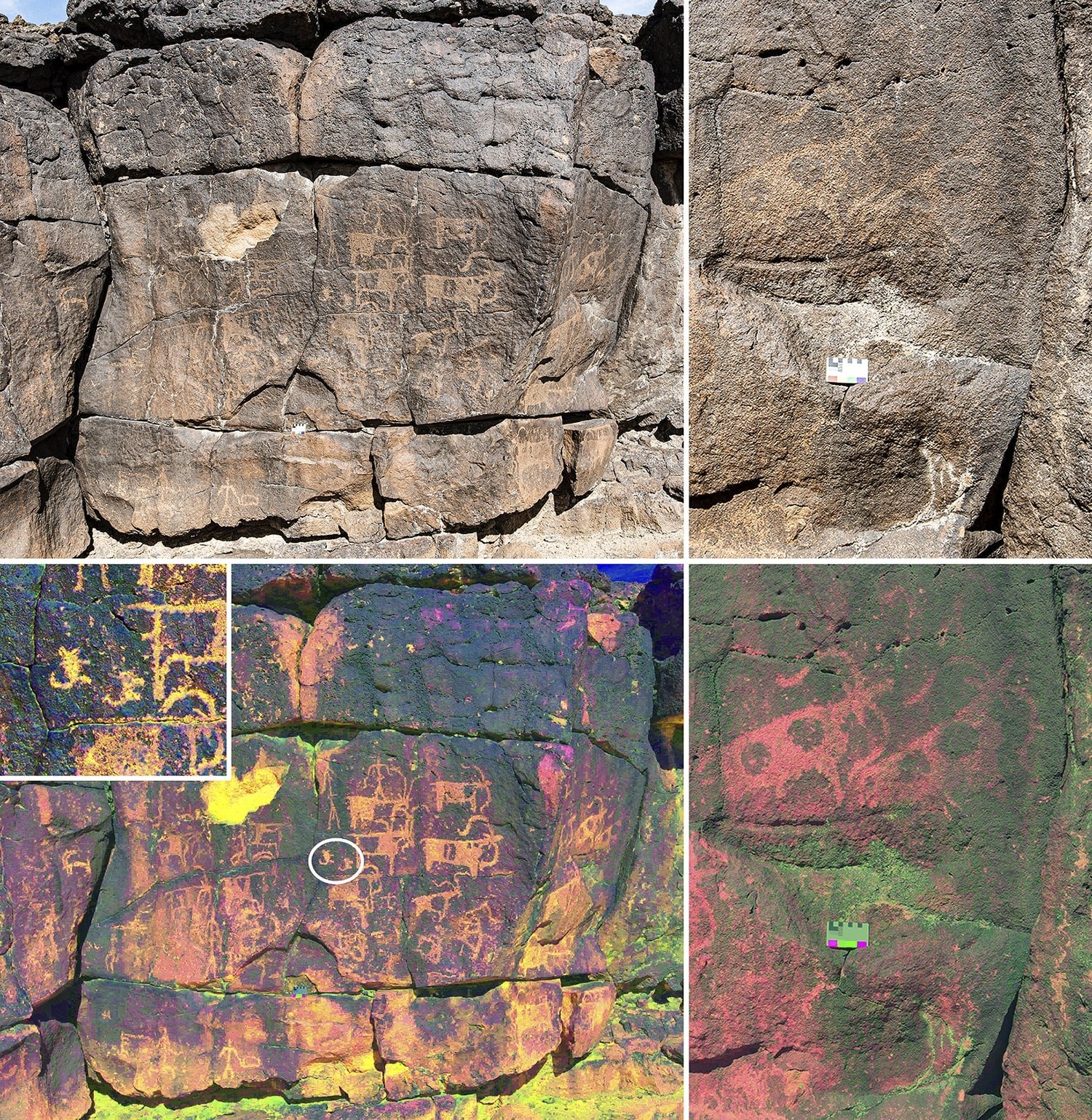 Rock Art Found In This Saudi Arabian Cave Offers ‘rare Glimpse Into