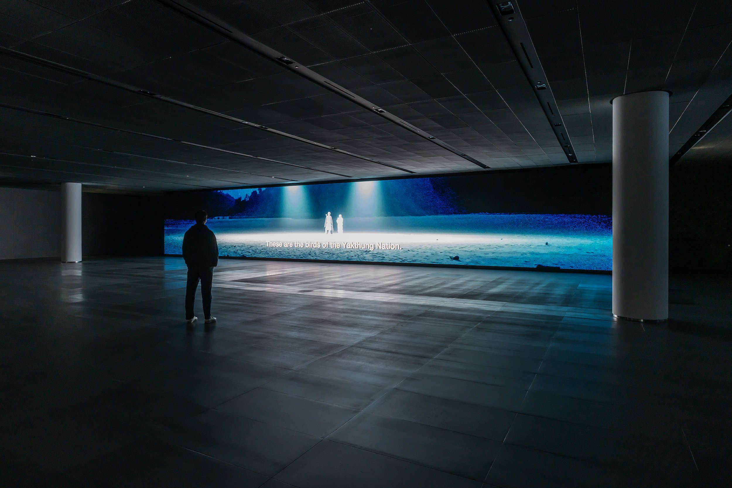 View of an immersive screen in a darkened room with individual standing looking at the playing video winner of the 5th edition of the VH Award.