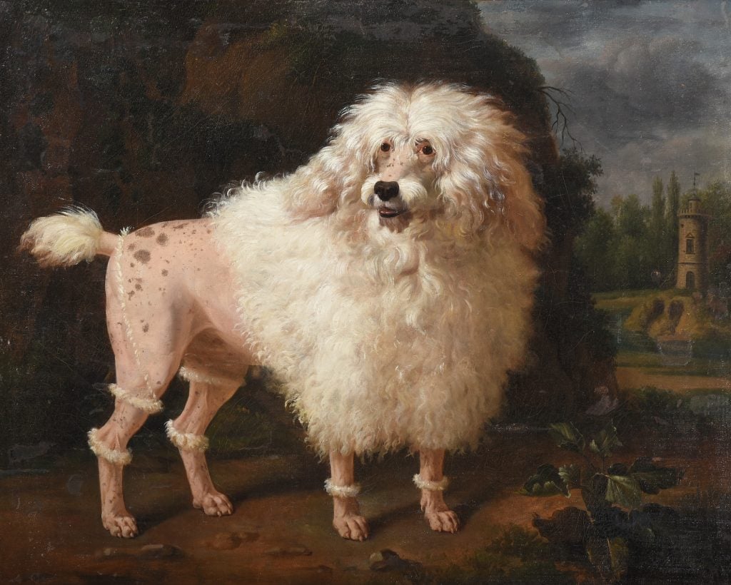 the image is of an antique painting of a poodle