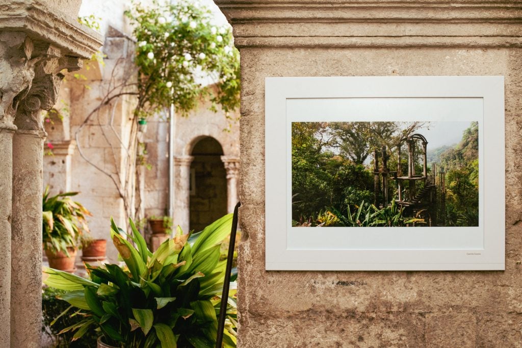 An outdoor photograph exhibited in a lush garden scene framed within an ancient, columned arcade. In the foreground, a variety of potted plants and verdant foliage complement the stone architecture, emphasizing the blend of nature and historical elements. The picture itself shows a densely vegetated garden with a decorative, ornate structure, and is mounted on an aged stone wall, adding a layer of depth and intrigue to the overall scene.