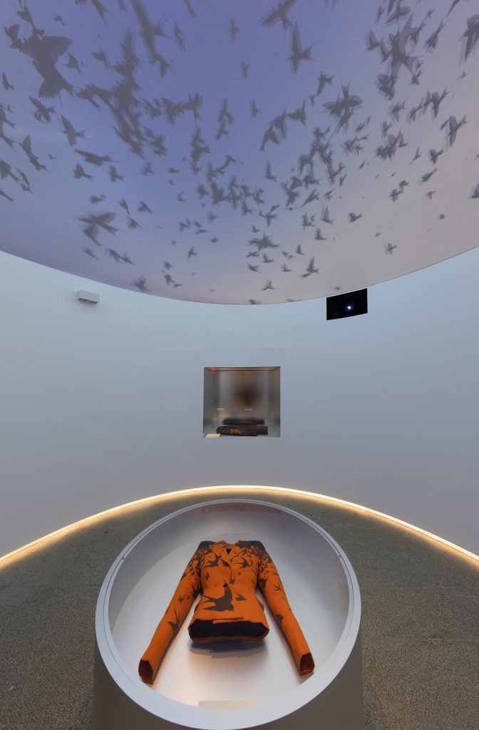a jacket with a bird print has an image of birds flying above in a museum installation 