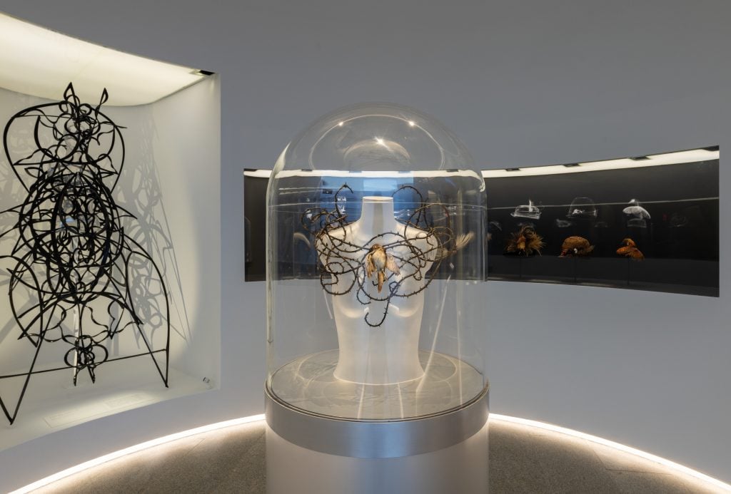 a view of a museum show of bird inspired jewelry 