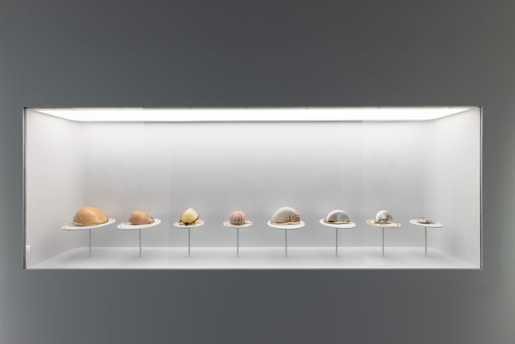 various fashion accessories made from seashells are in a museum case 