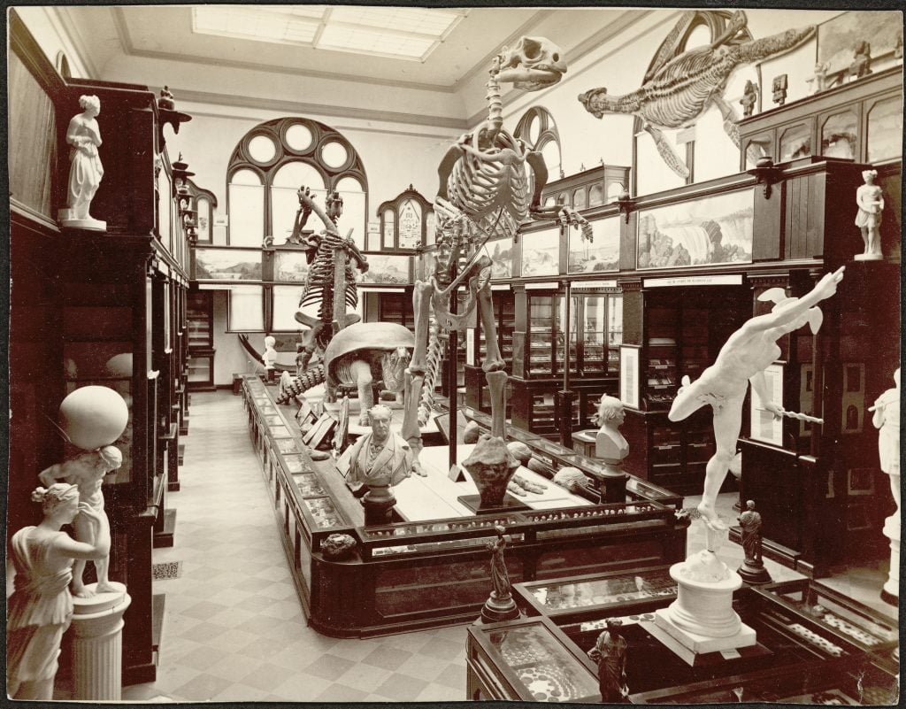 The image depicts a vintage museum exhibit hall filled with a variety of displays. Dominating the center of the room are large skeletons of prehistoric animals, including a dinosaur and a mammoth. Surrounding these are numerous glass cases containing smaller artifacts and specimens. Marble statues and busts are also prominently displayed throughout the hall. The room features tall wooden cabinets along the walls, with additional artifacts and paintings displayed above them. The ceiling is high with large, arched windows allowing natural light to flood the space, giving the room an elegant and historic ambiance.