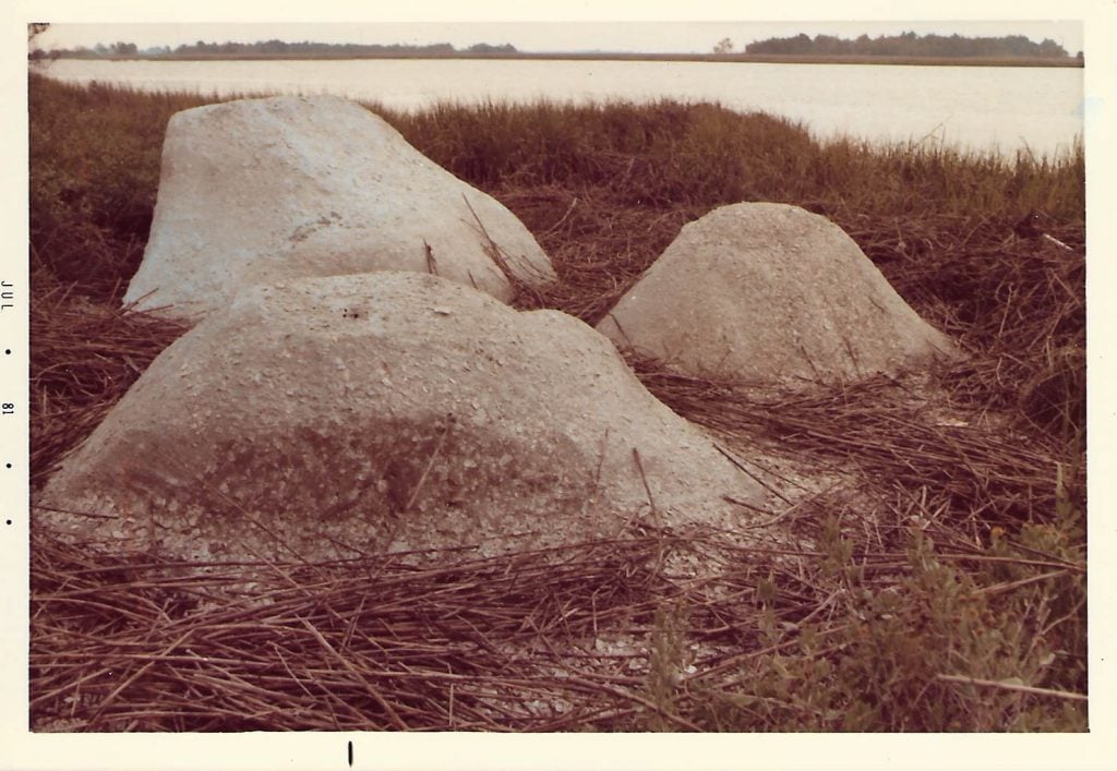 A photograph of mounds in grass by land artist beverly buchanan 