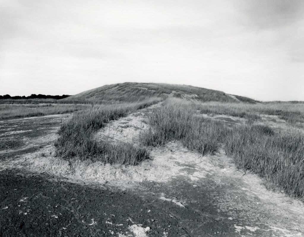 a mound of ground in a field