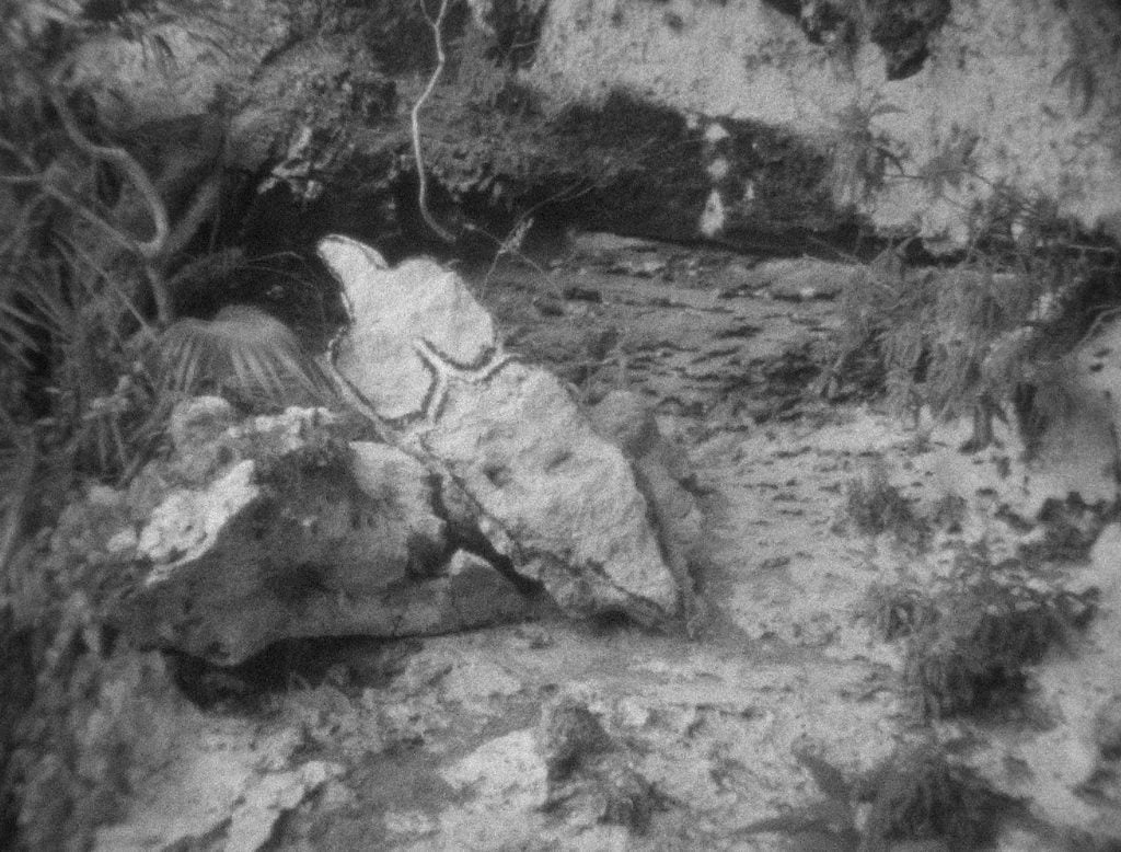 Ana Mendieta, <em>Esculturas Rupestres (Rupestrian Sculptures)</em> (1981), super-8mm film, black and white, silent. Photo: © 2024 The Estate of Ana Mendieta Collection, LLC. Courtesy Galerie Lelong & Co. / Licensed by Artists Rights Society (ARS), New York.