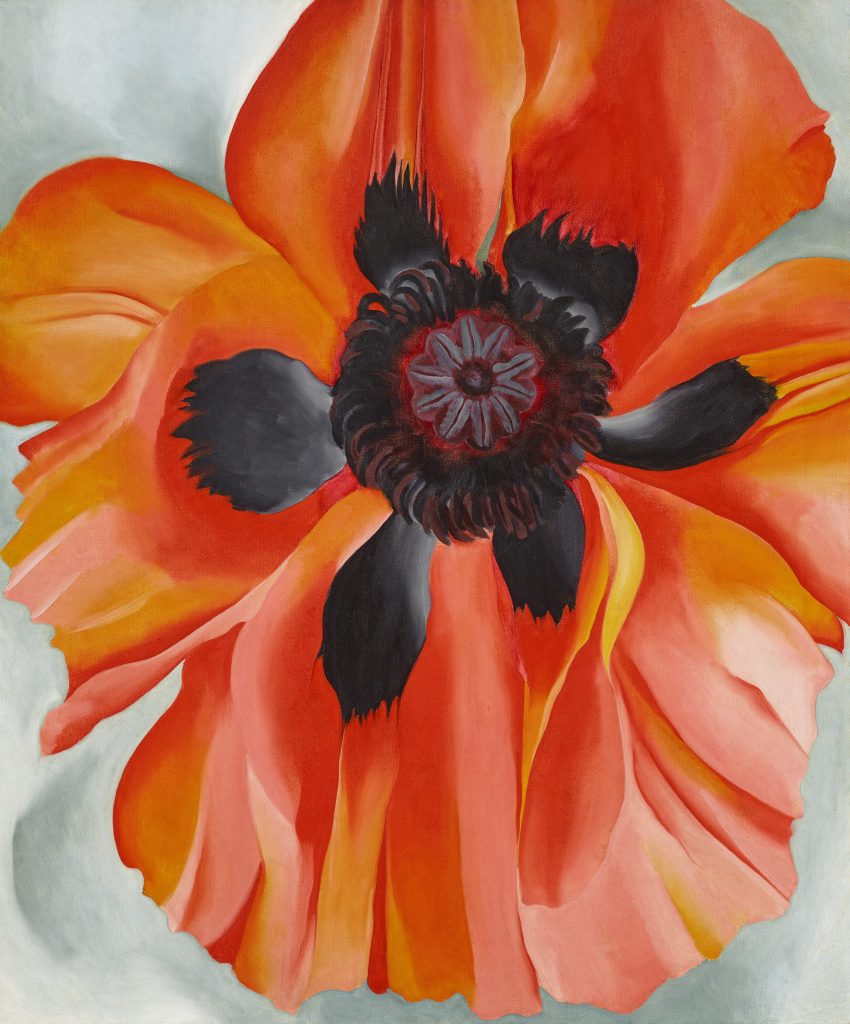 A color photo shows a painting of a red-orange flower.