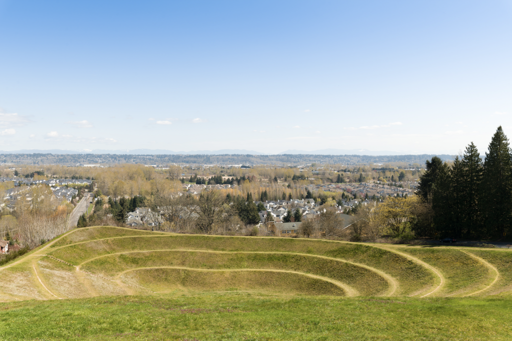 a public artwork that consists of rings carved in a grassy field that dips in the center