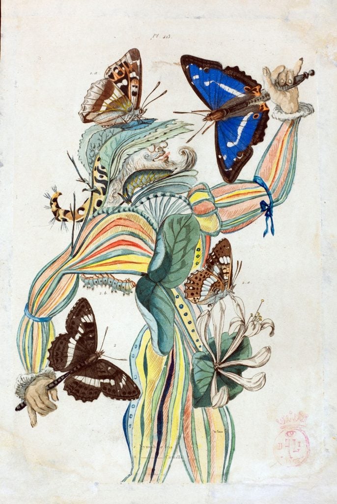 A surreal drawing by Salvador Dalí of a human figure made up of flowers and butterflies