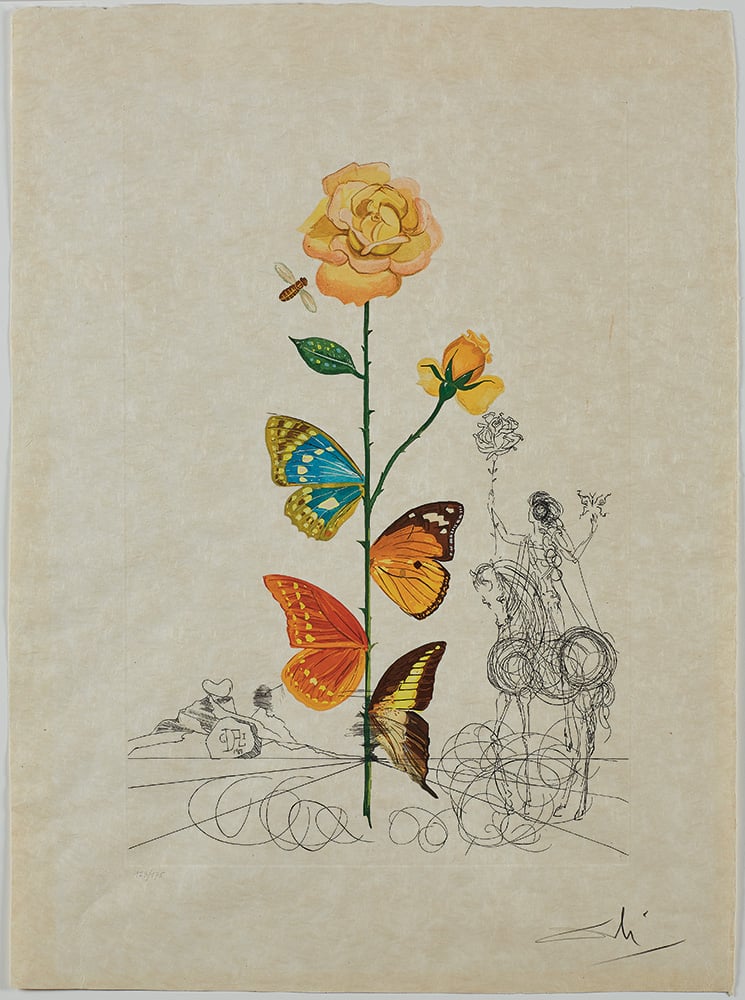 A surreal drawing by Salvador Dalí showing a rose with butterflies attached to its stem