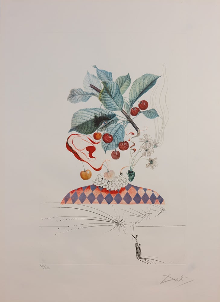 A surreal drawing by Salvador Dalí showing a person's face metamorphosing into a plant with fruits