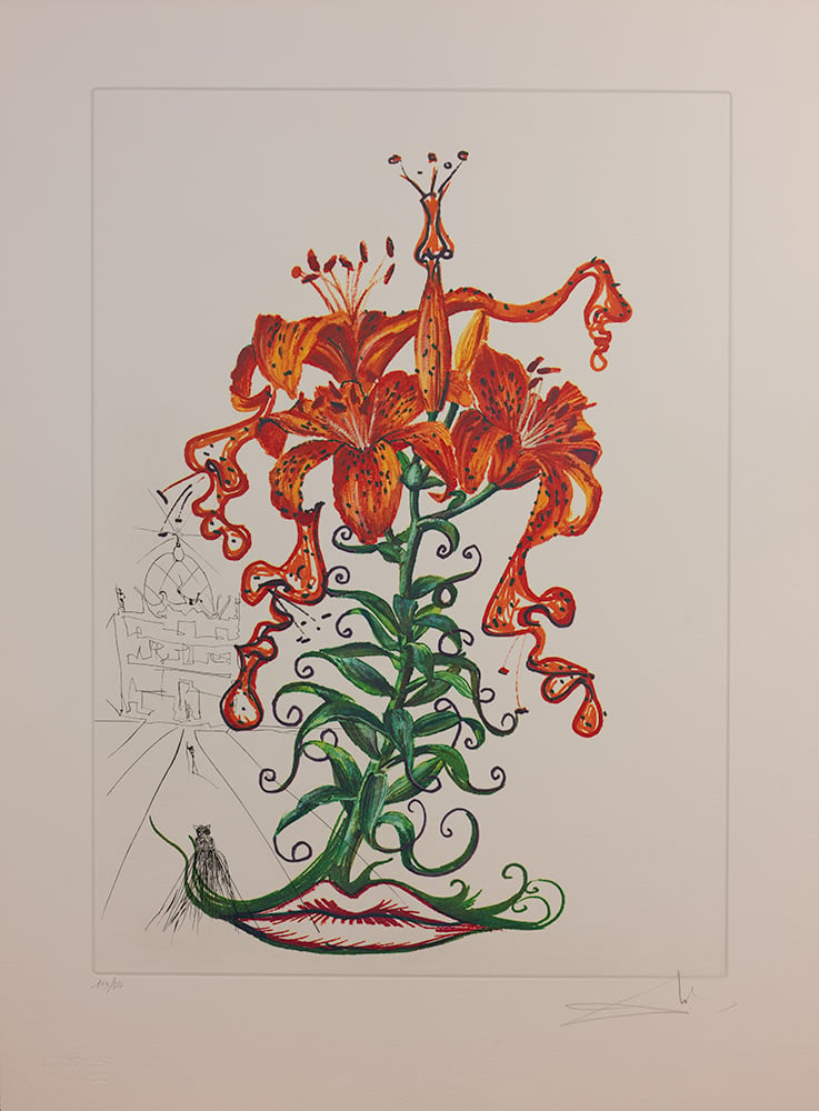 A surreal floral drawing by Salvador Dalí of orange flowers, their stem transformed into a pair of human lips