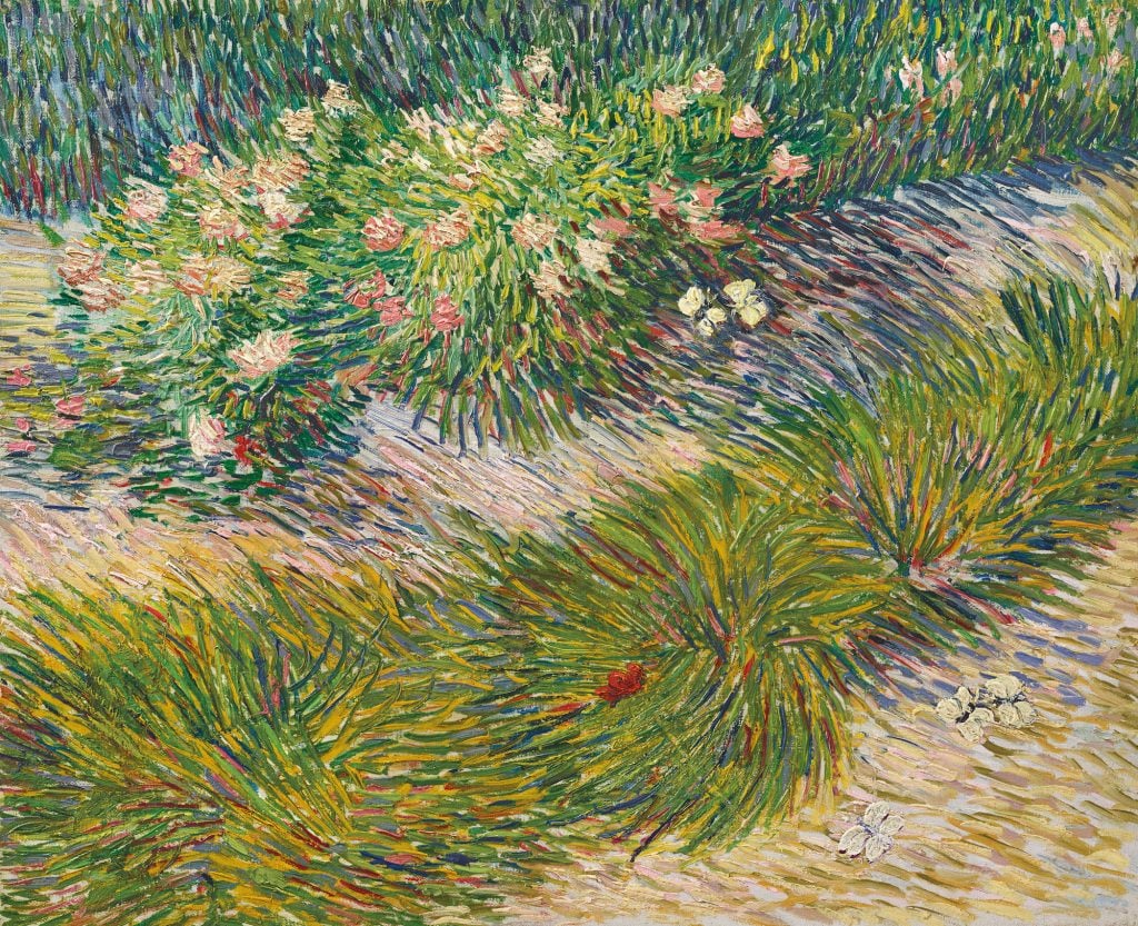 an image of a lush garden in thick brushstrokes in the Impressionist style