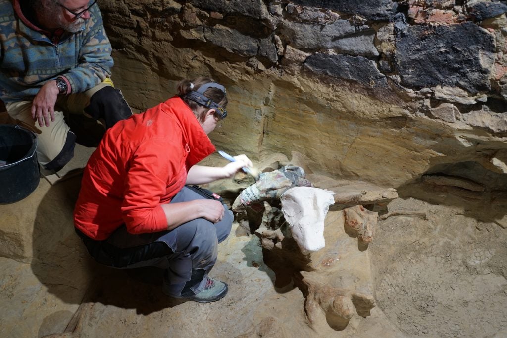 A woman in a red jacket crouches over several ancient mammoth bones hidden in a brown dusty floor