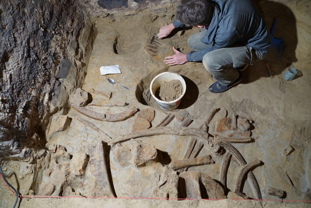 A man excavating mammoth bones