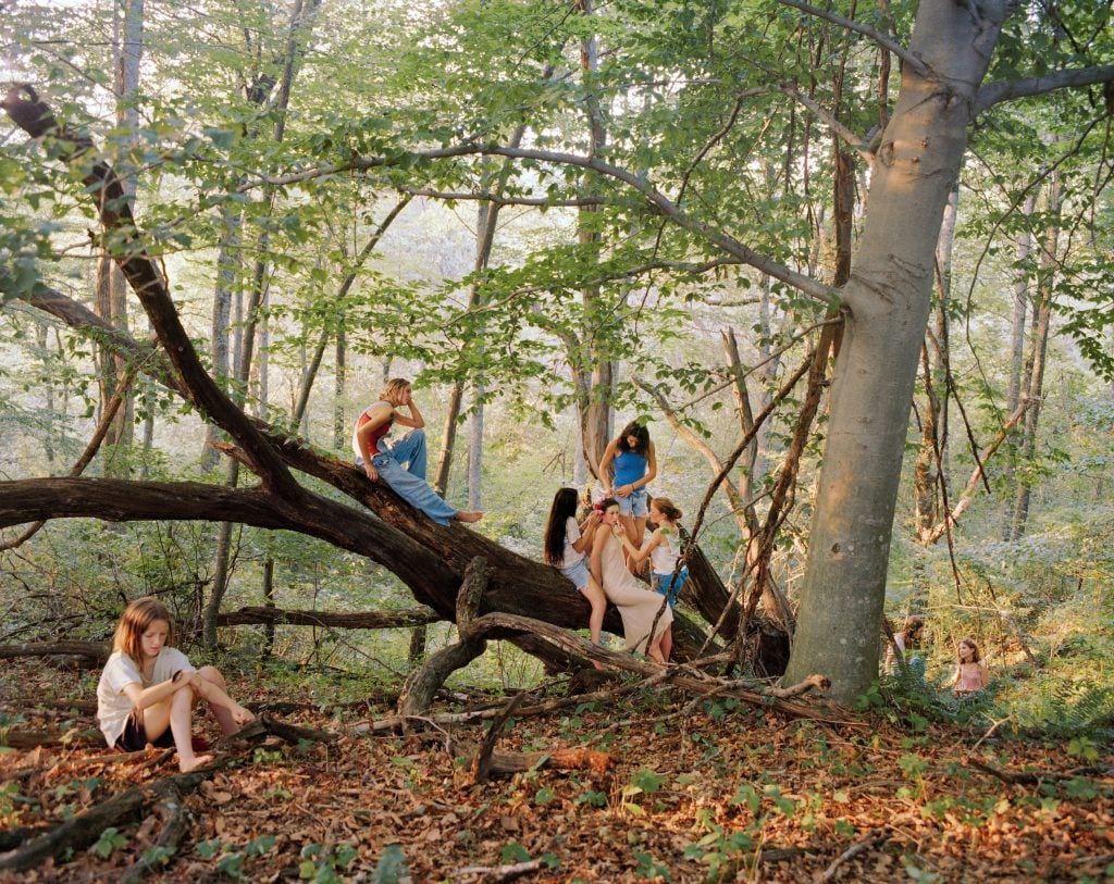 A picture of several people in a forest